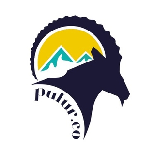pulur co logo