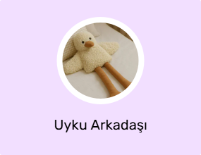 Uyku Arkadaşı