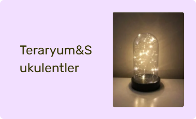 Teraryum&Sukulentler