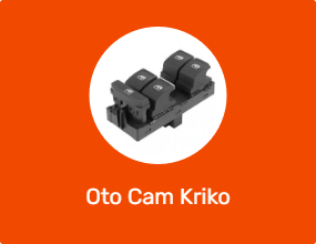 Oto Cam Kriko