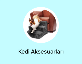 Kedi Aksesuarları