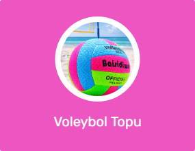 Voleybol Topu
