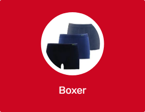 Boxer