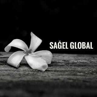 Sağel Global