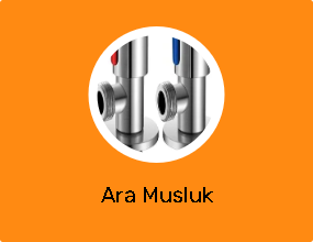 Ara Musluk