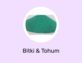 Bitki & Tohum