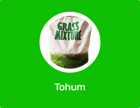 Tohum