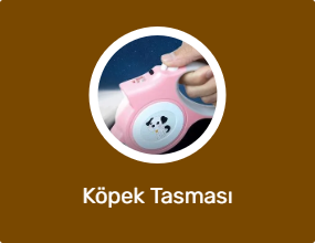 Köpek Tasması