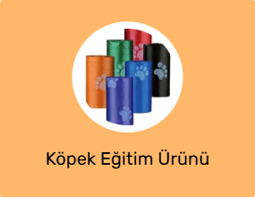 Köpek Eğitim Ürünü