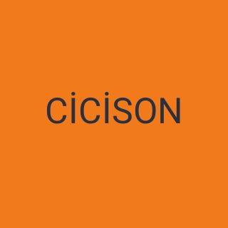 cicison