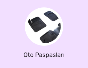 Oto Paspasları