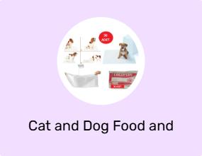 Cat and Dog Food and Water Containers