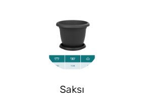 Saksı