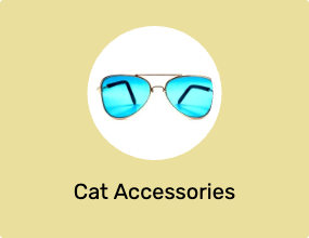 Cat Accessories