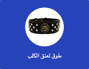 طوق لعنق الكلب