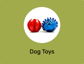 Dog Toys