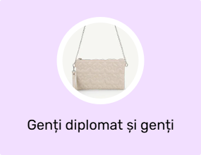 Genți diplomat și genți plic