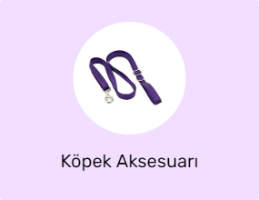 Köpek Aksesuarı