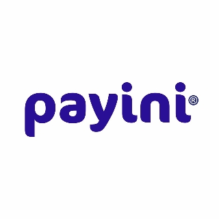 PAYİNİ