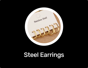 Steel Earrings