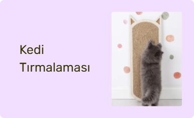 Kedi Tırmalaması