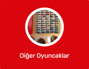 Diğer Oyuncaklar