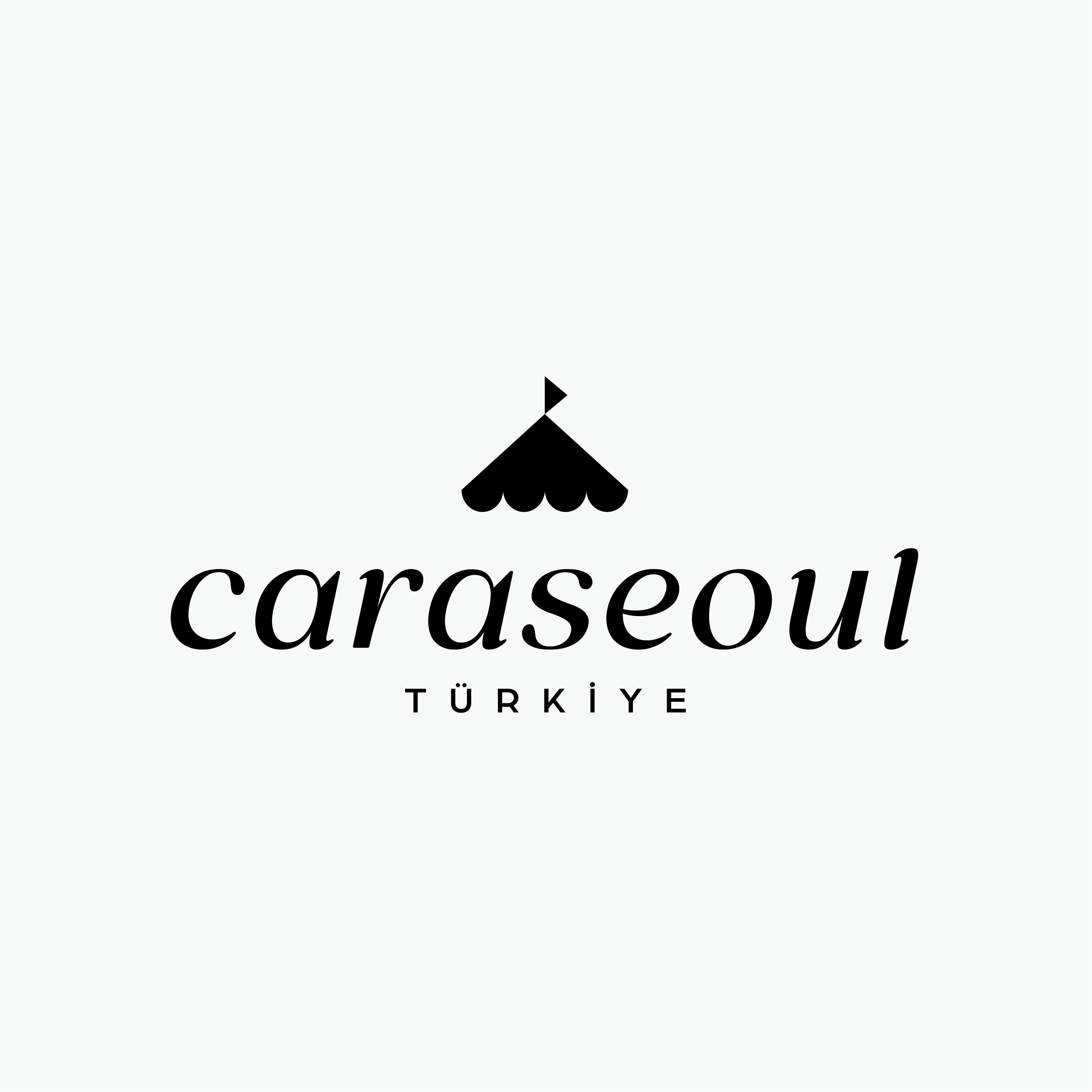Caraseoul Kozmetik logo