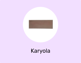 Karyola
