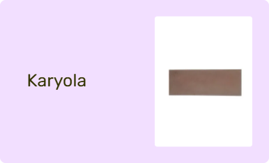 Karyola