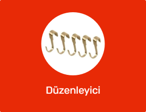 Düzenleyici
