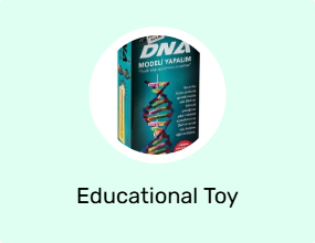 Educational Toy
