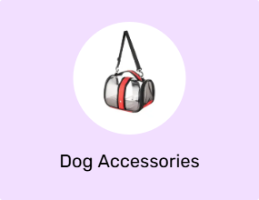 Dog Accessories