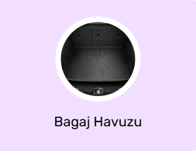 Bagaj Havuzu