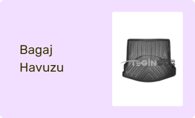 Bagaj Havuzu
