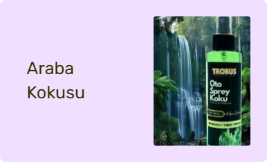 Araba Kokusu