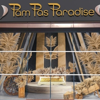 Pam Pas Paradise