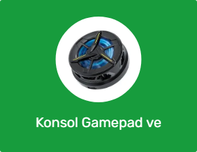 Konsol Gamepad ve Joystick