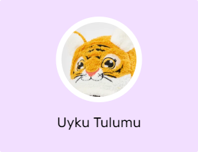 Uyku Tulumu