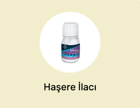 Haşere İlacı