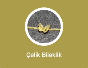 Çelik Bileklik