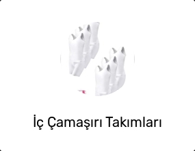 İç Çamaşırı Takımları