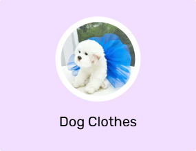 Dog Clothes