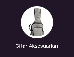 Gitar Aksesuarları