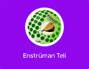 Enstrüman Teli