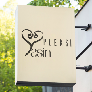 Pleksi Yasin