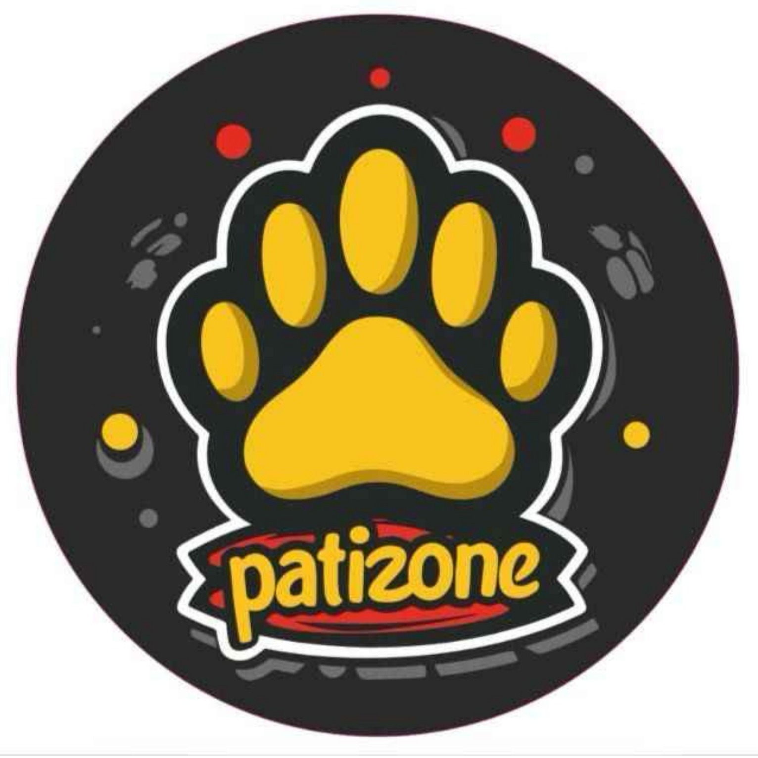 PATİZONE