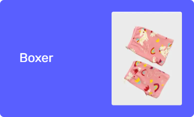 Boxer