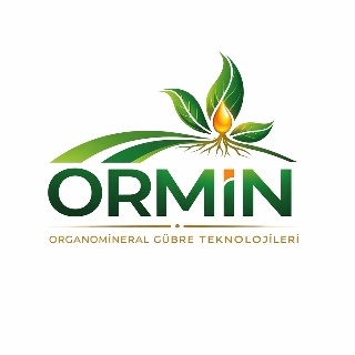Ormin