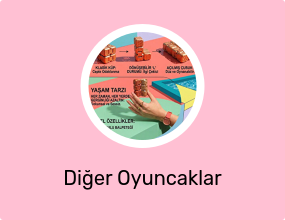 Diğer Oyuncaklar