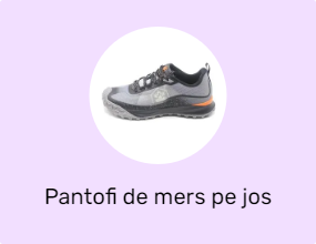 Pantofi de mers pe jos